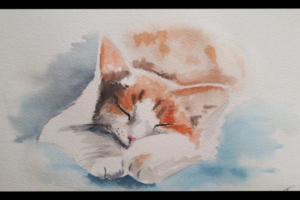 slideshow/2019-acquerello-sleeping_cat-30x20.jpg