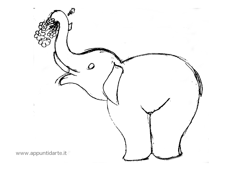 immagini disegni da colorare elefante