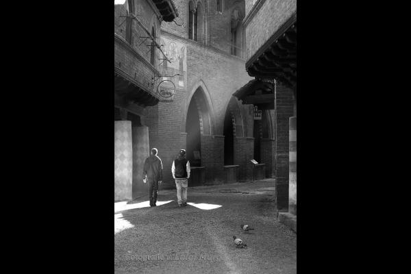 immagini/luigi/fotografie/slideshow/2018-fotografia_digitale-al_castello_del_valentino-20x30.jpg